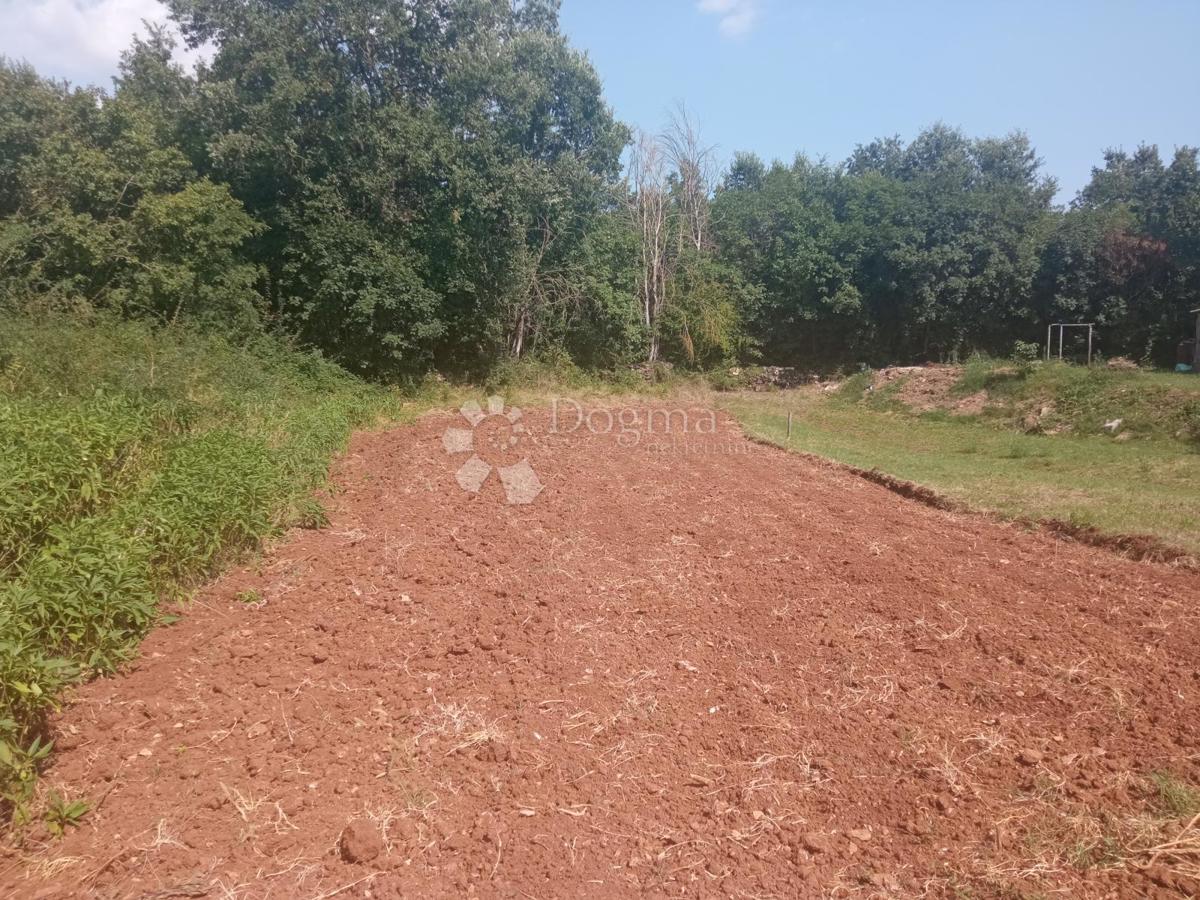 ŽMINJ