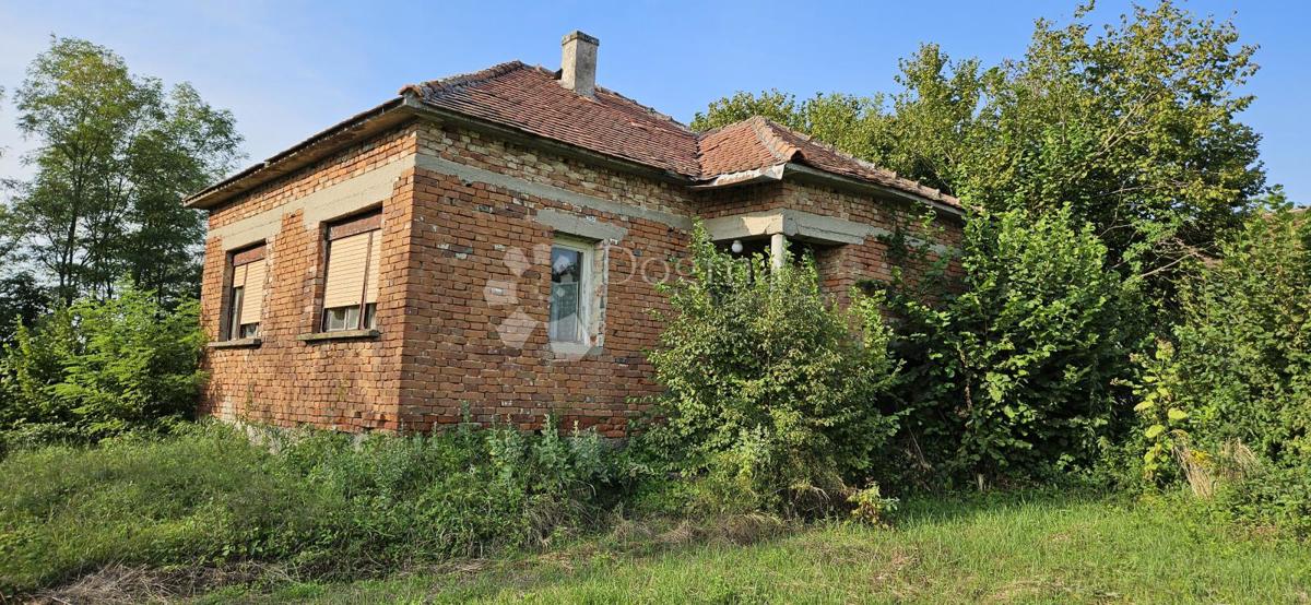 NEGOVEC
