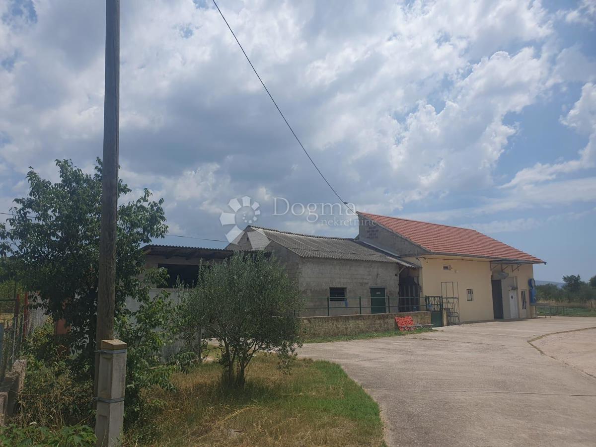 DRNIŠ