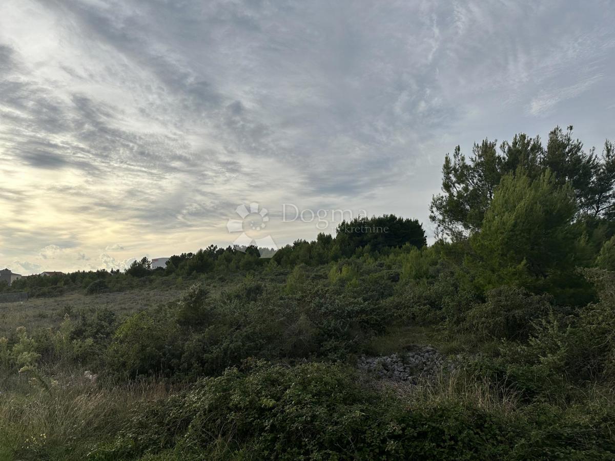 VRSI