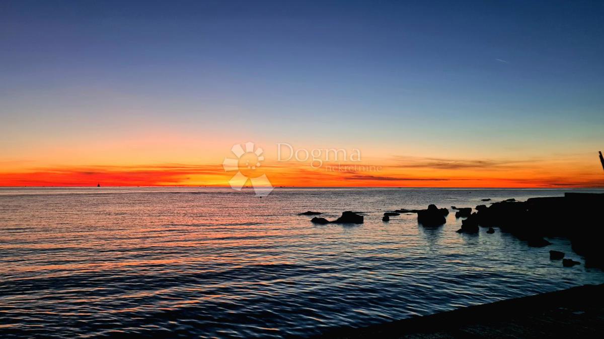 UMAG