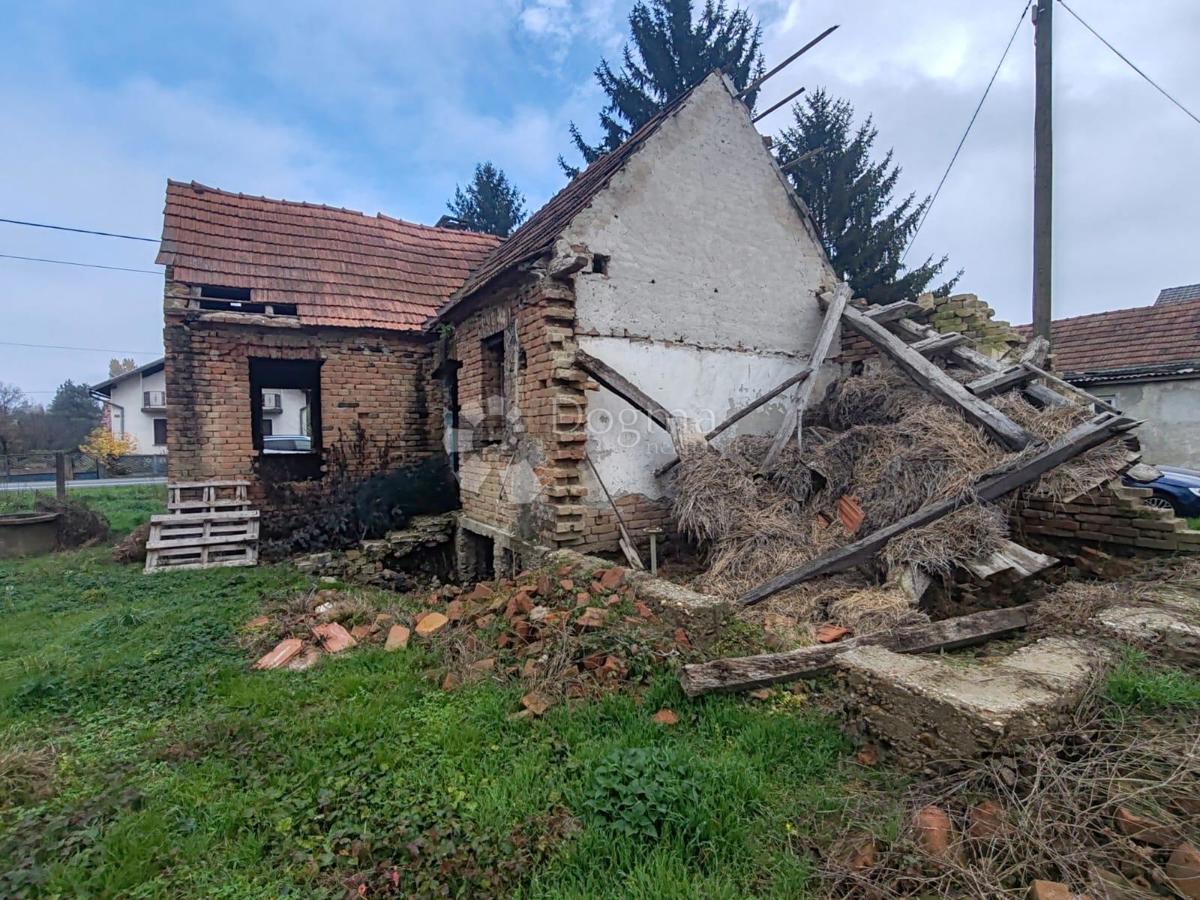 ŠEMOVEC