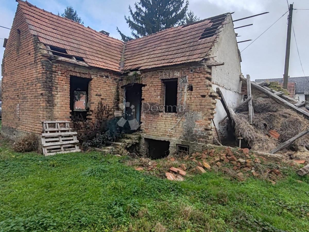 ŠEMOVEC