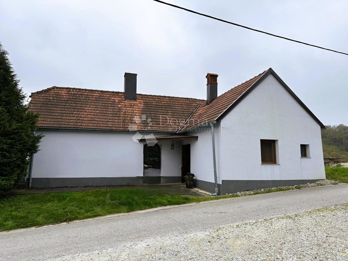 VINICA