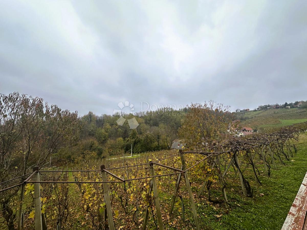 VINICA