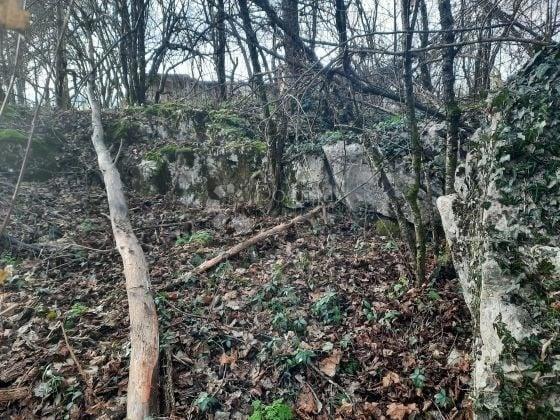 OŠTARIJE