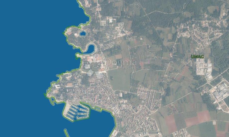 UMAG