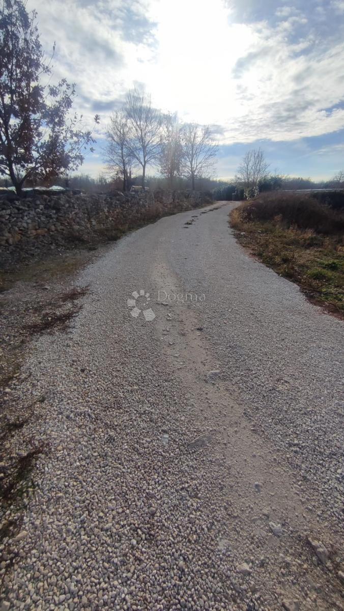 REŽANCI
