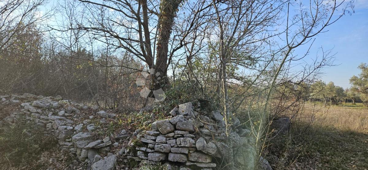 VODNJAN
