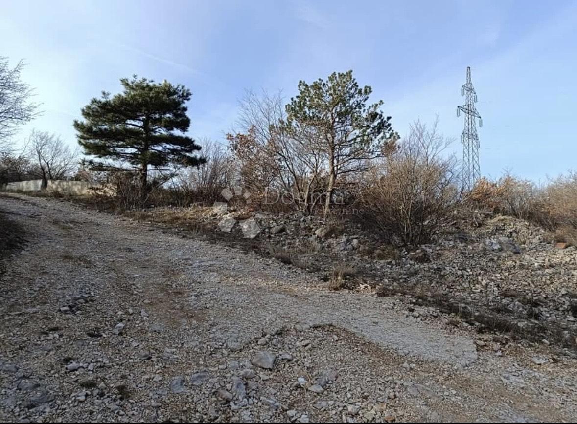 KRALJEVICA