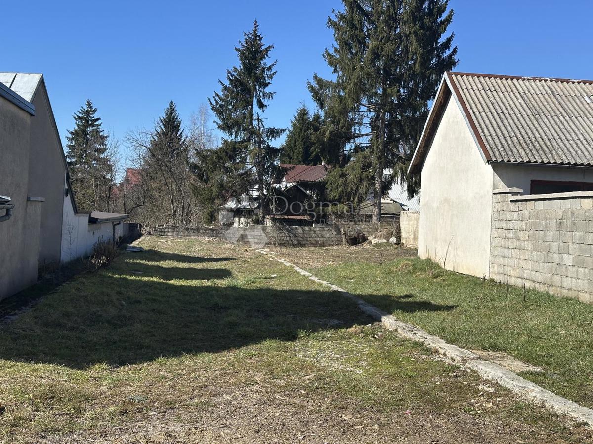 ŽABICA