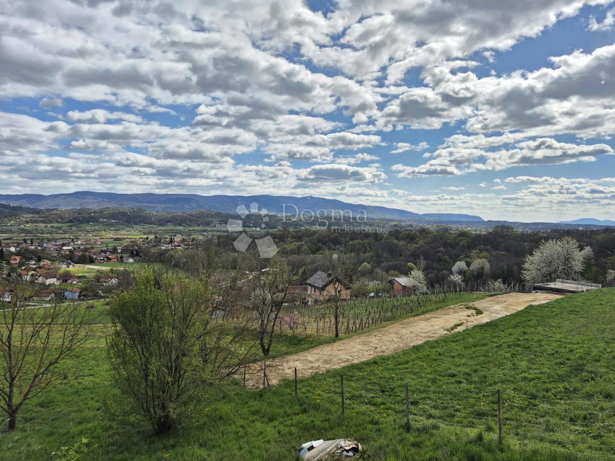 ŠPIČKOVINA