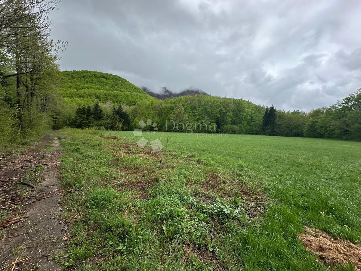 BRUŠANE
