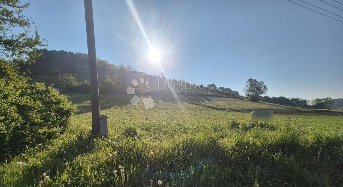 DONJA PAČETINA