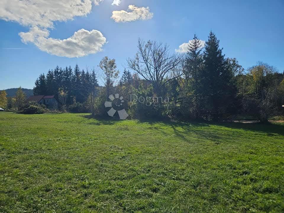 LIČ