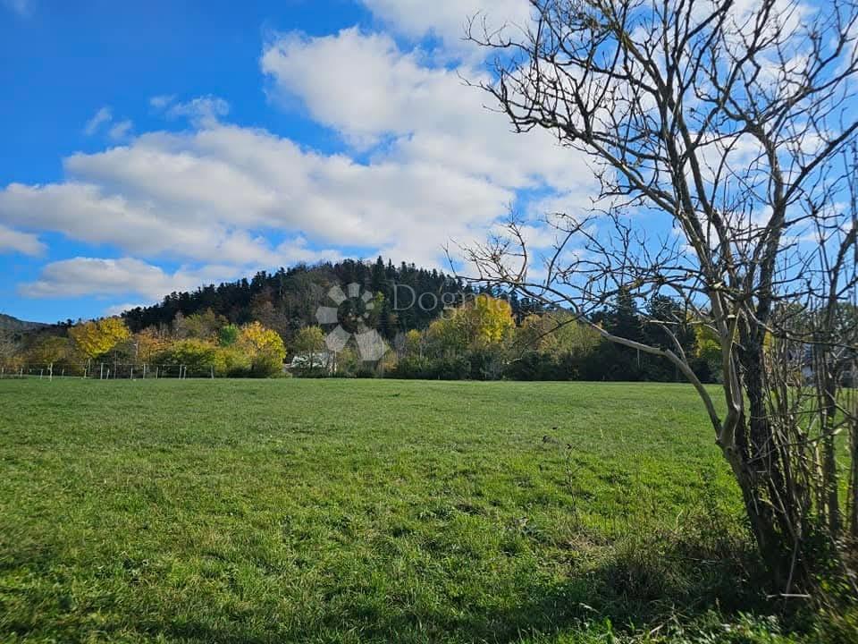 LIČ