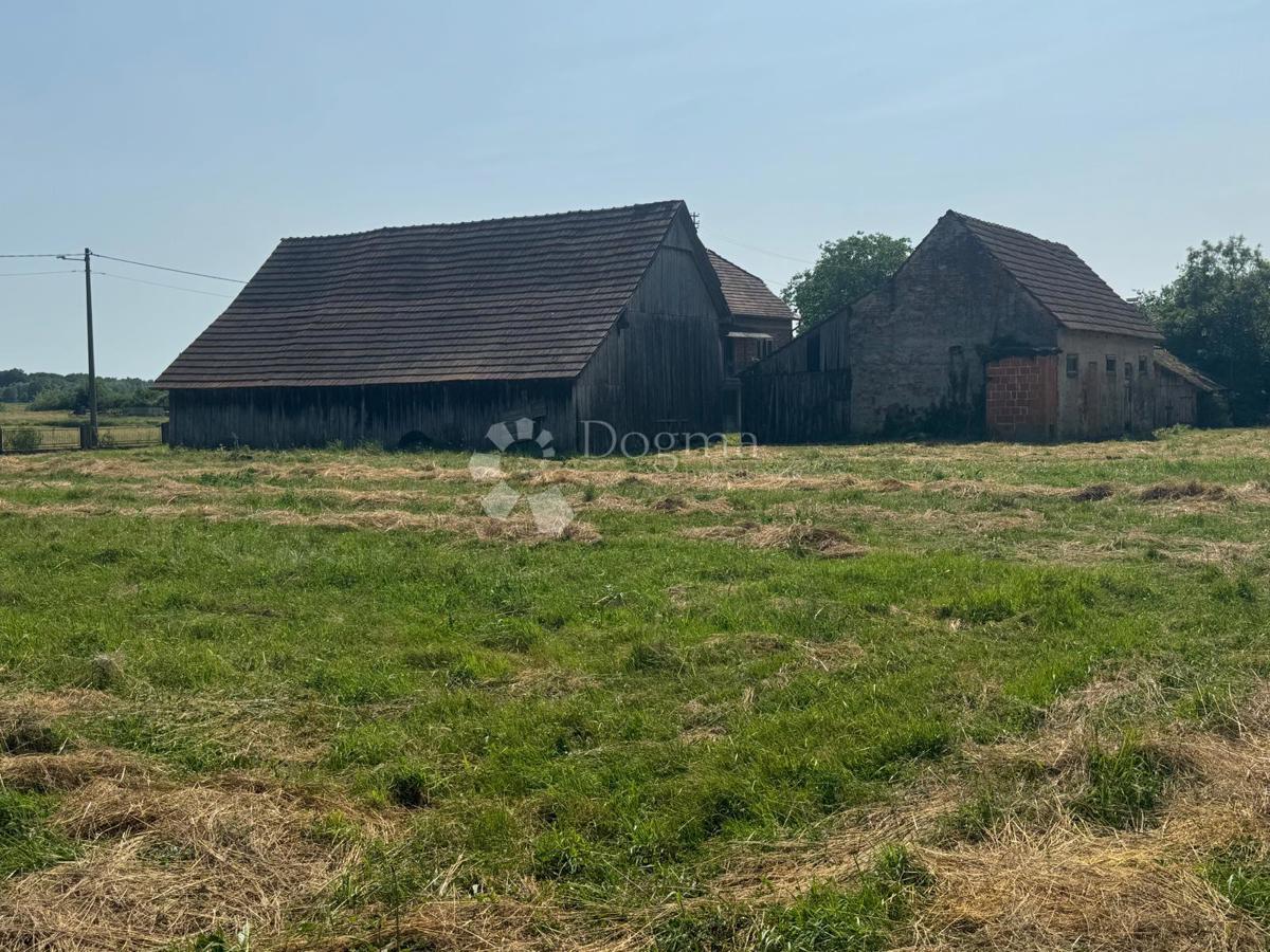 PREČEC