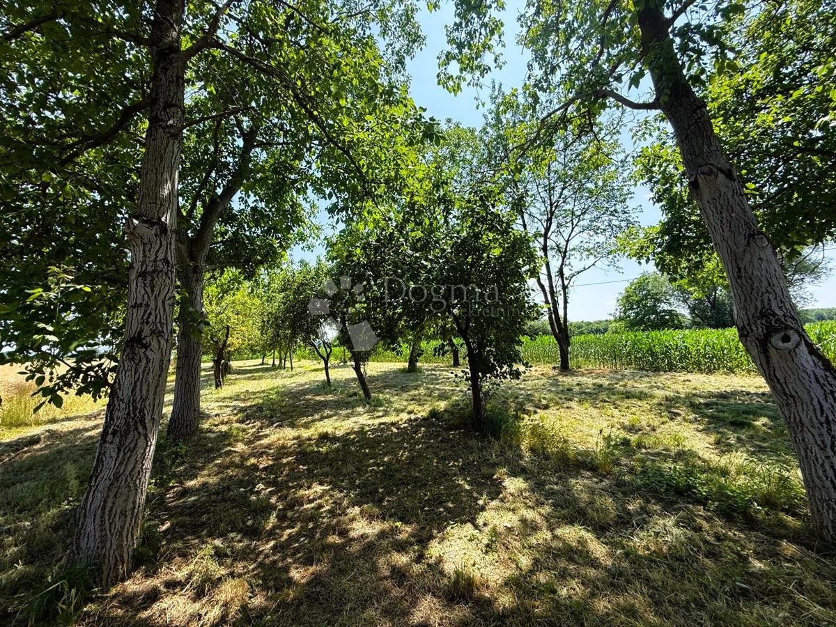 VARAŽDIN