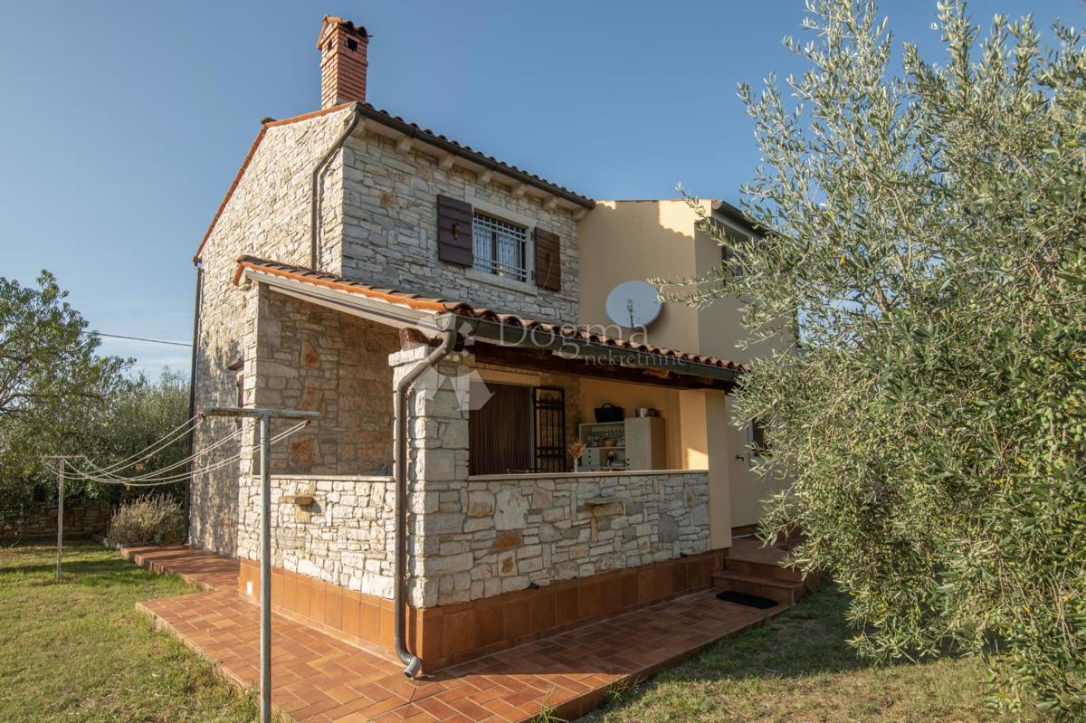 GALIŽANA