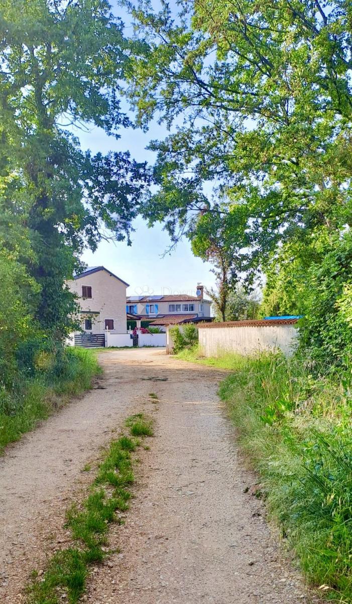 ŽIKOVIĆI