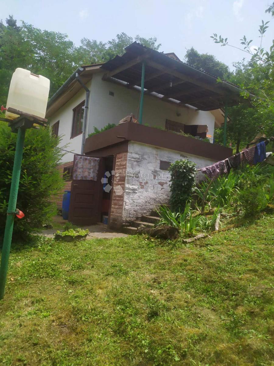 DALJ