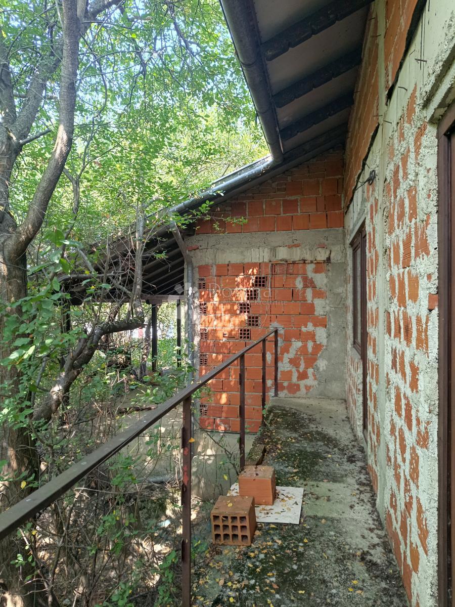 KUPINEČKI KRALJEVEC