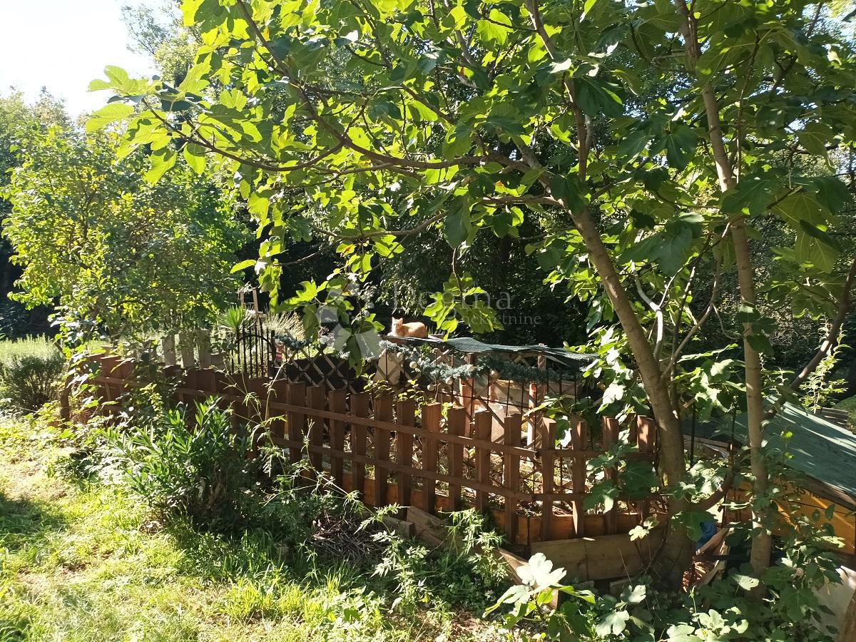 KRALJEVICA