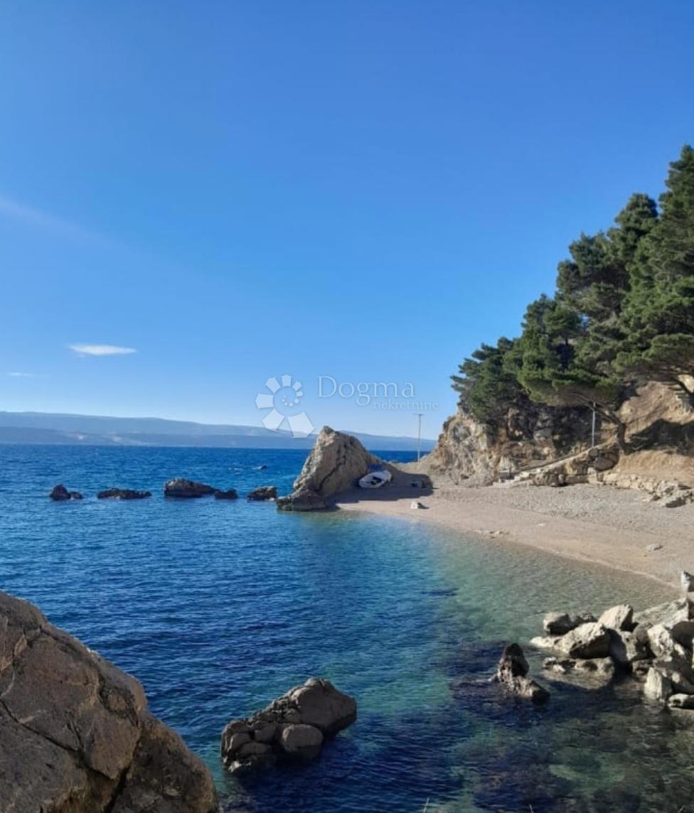 MARUŠIĆI