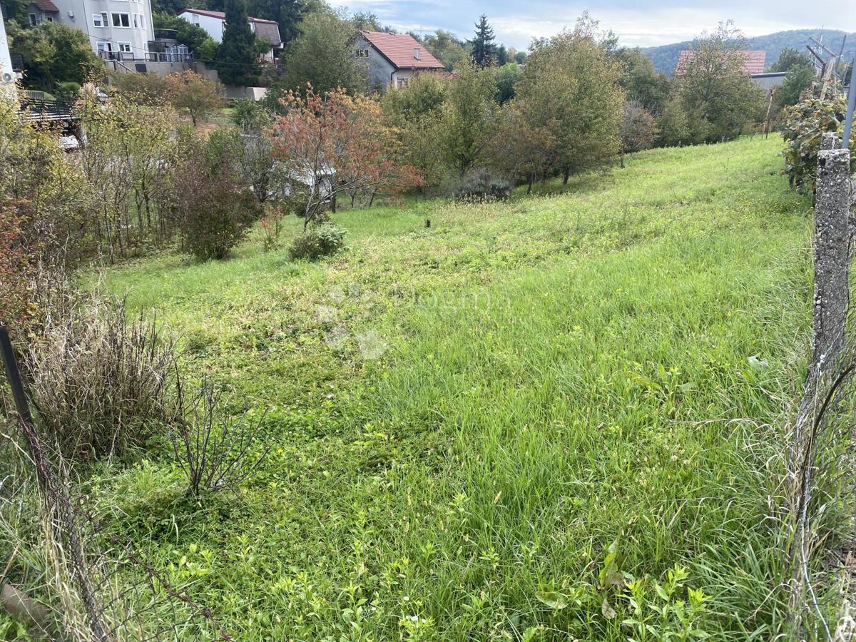 MARKUŠEVEC
