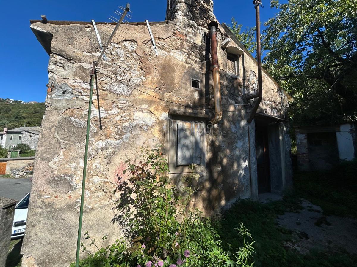 ŠKURINJE