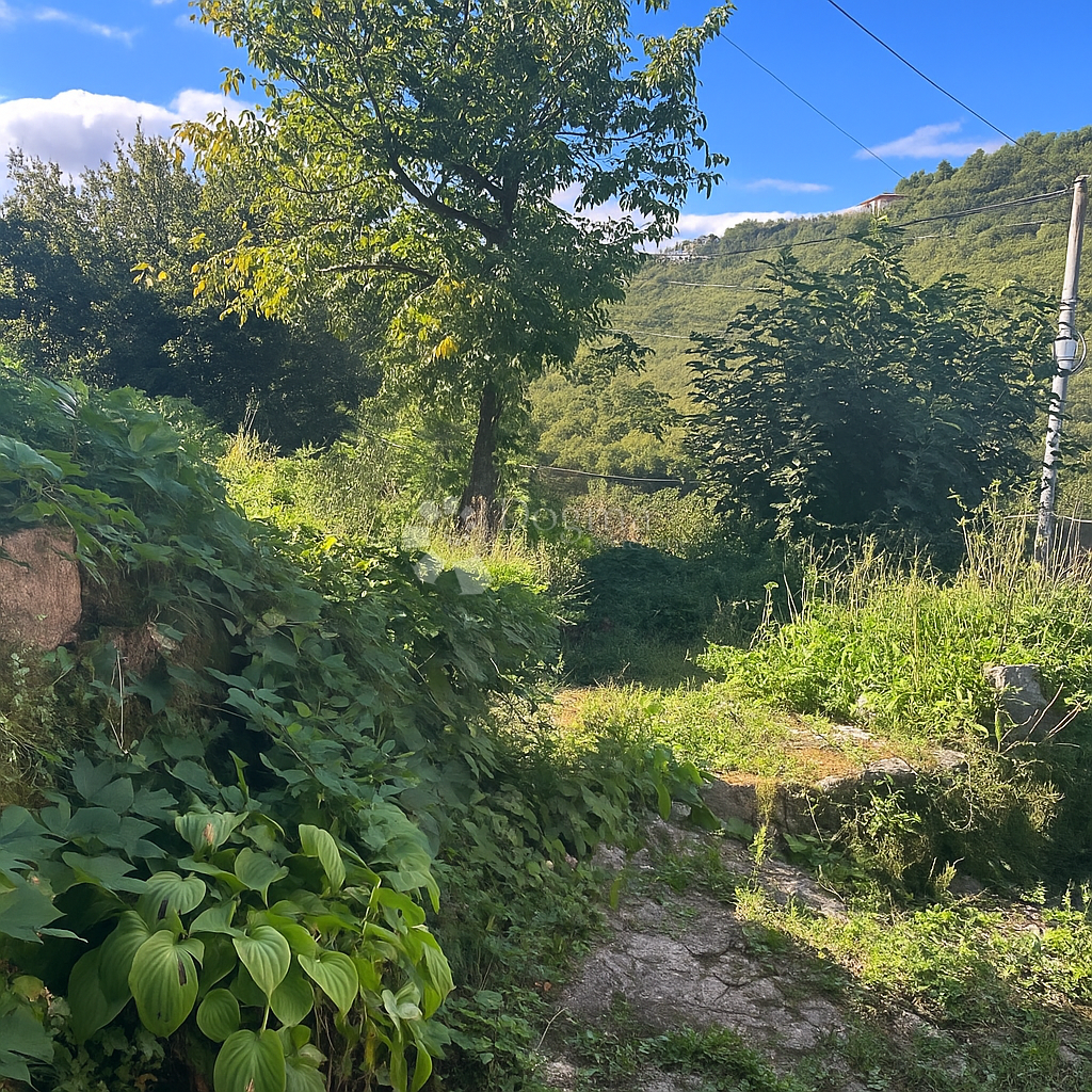 ŠKURINJE