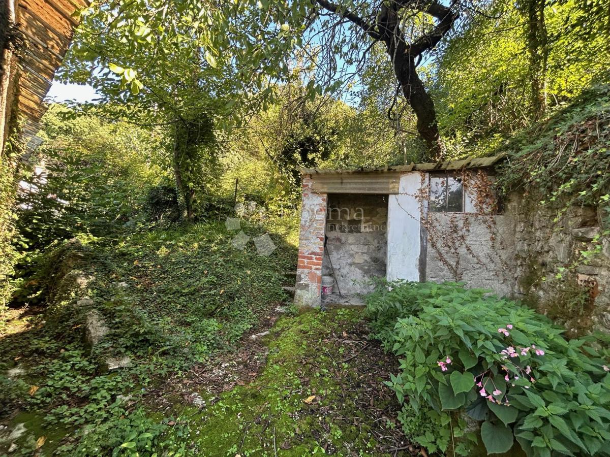 ŠKURINJE