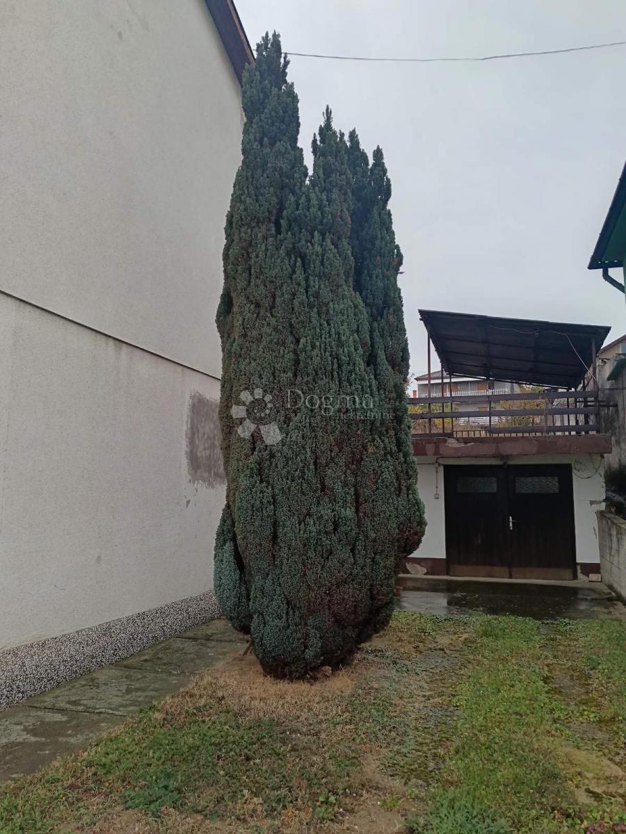BELI MANASTIR