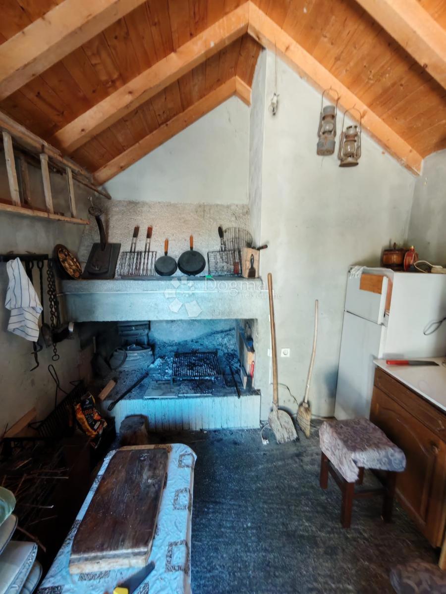 image 14