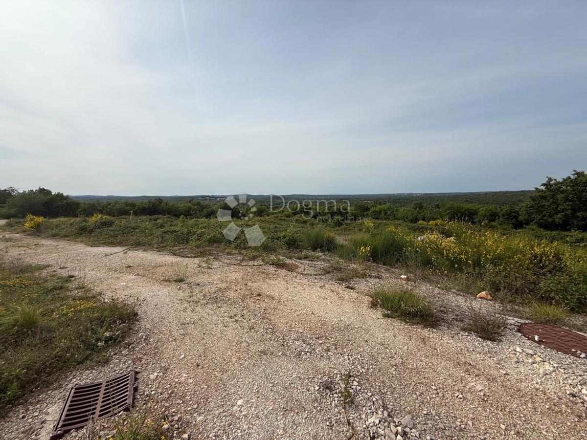 image 18