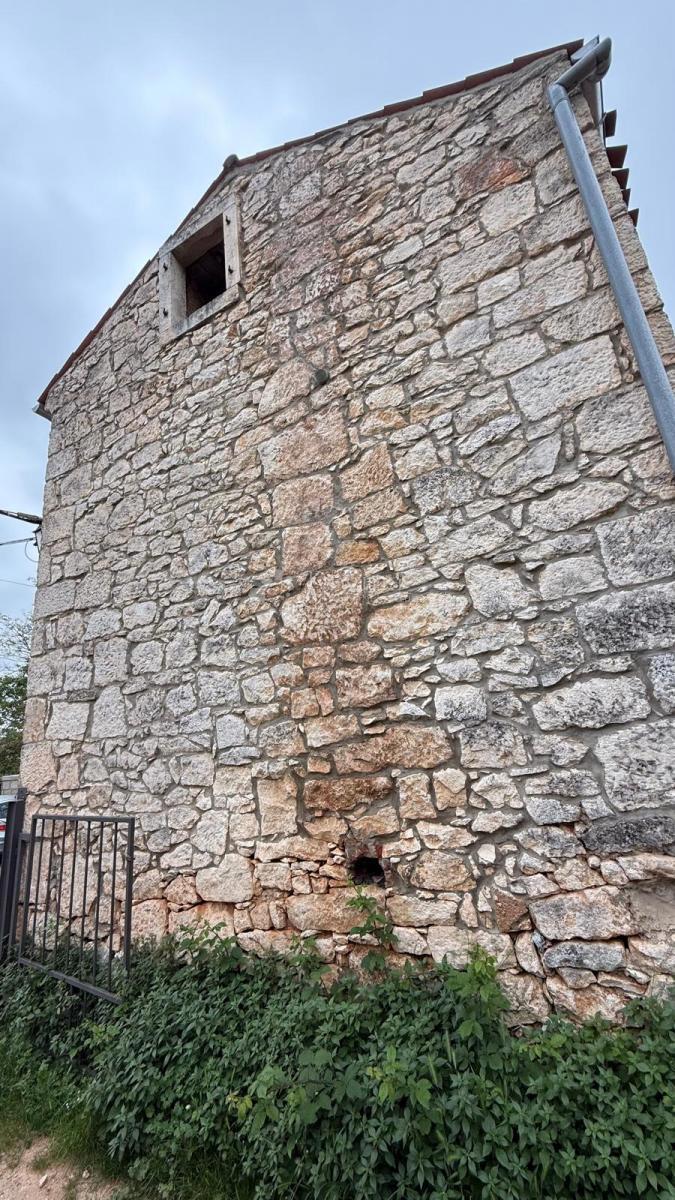 image 14