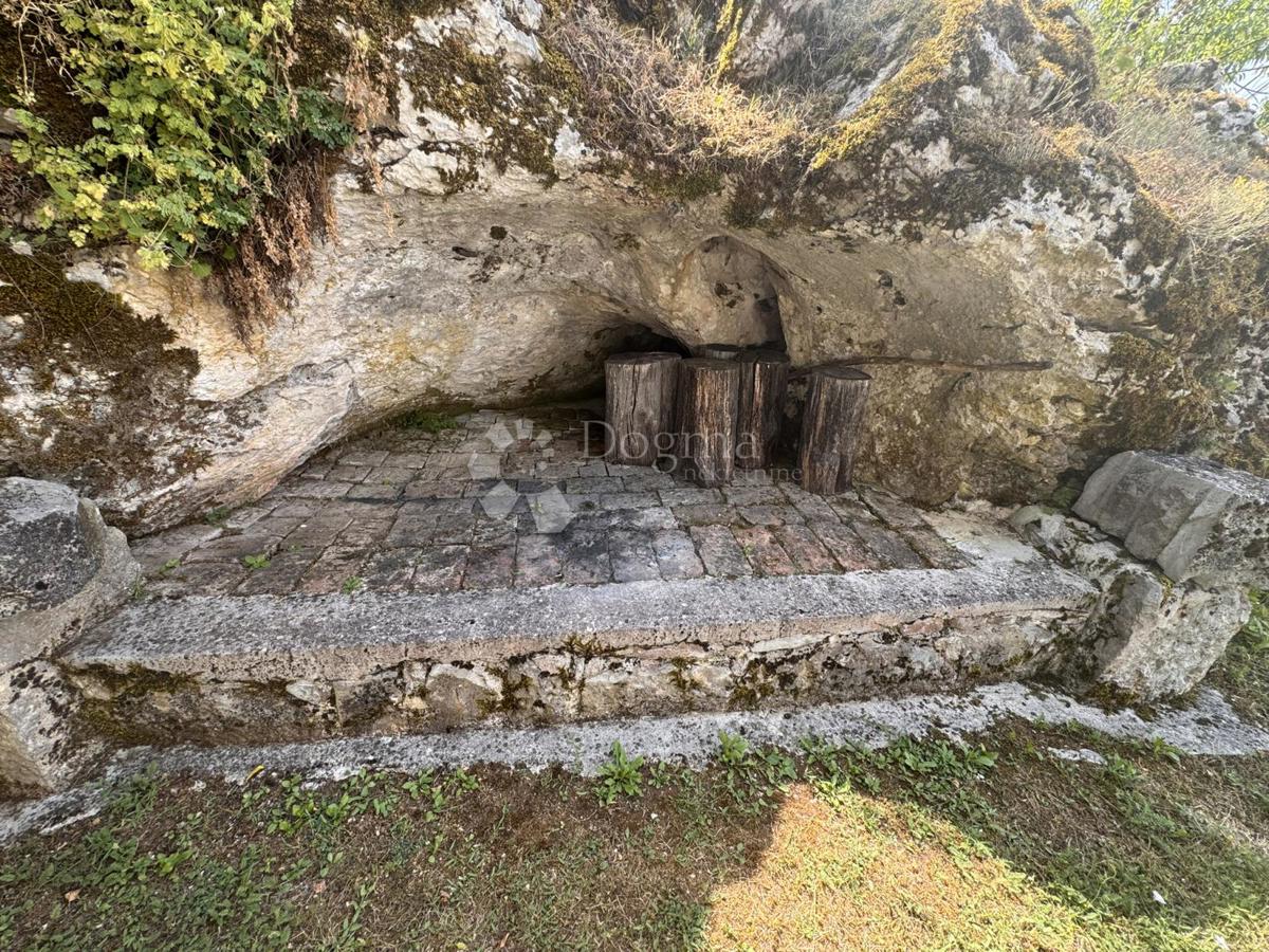 image 14