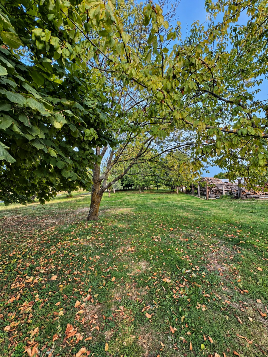 image 28