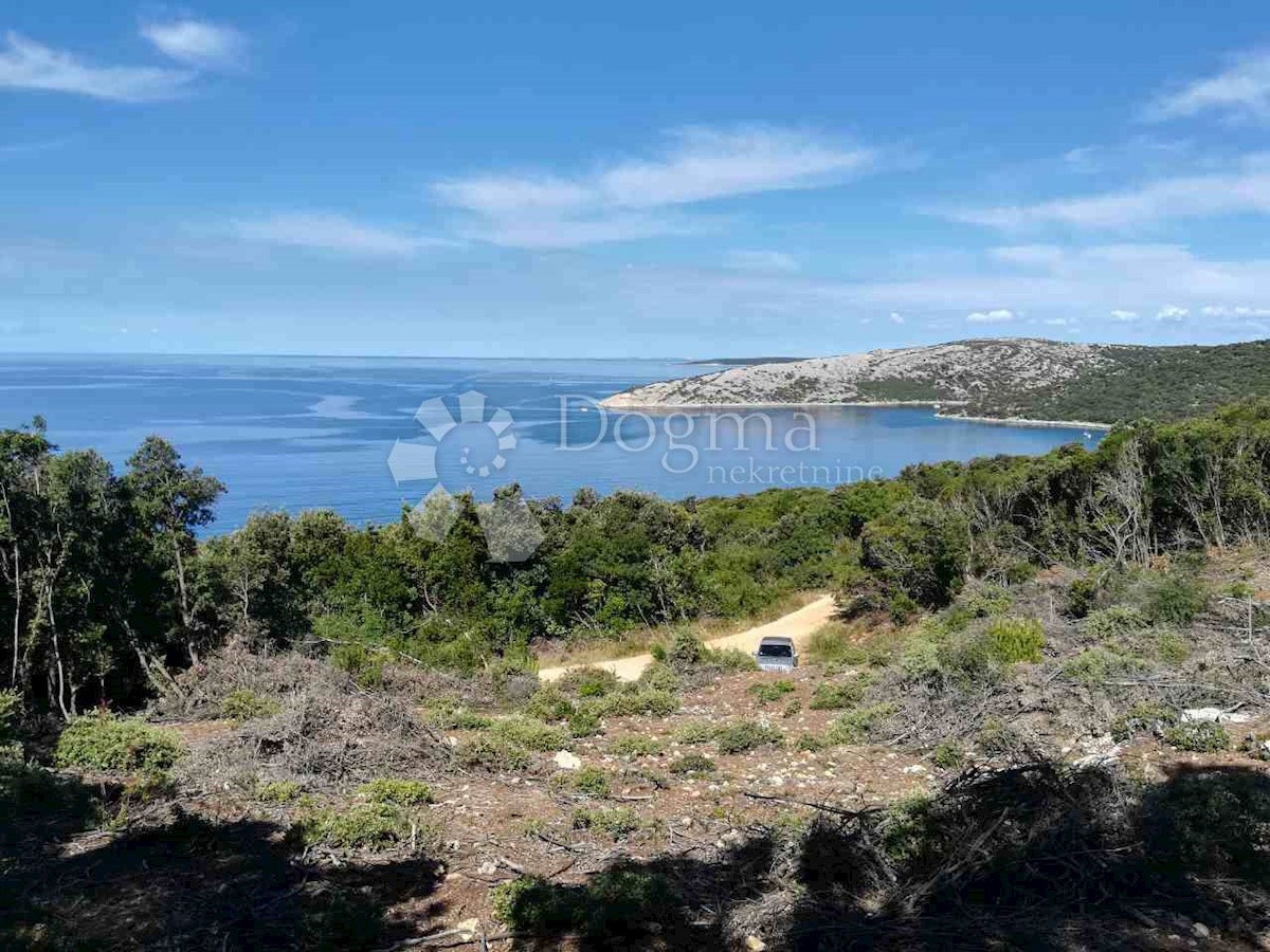 USTRINE