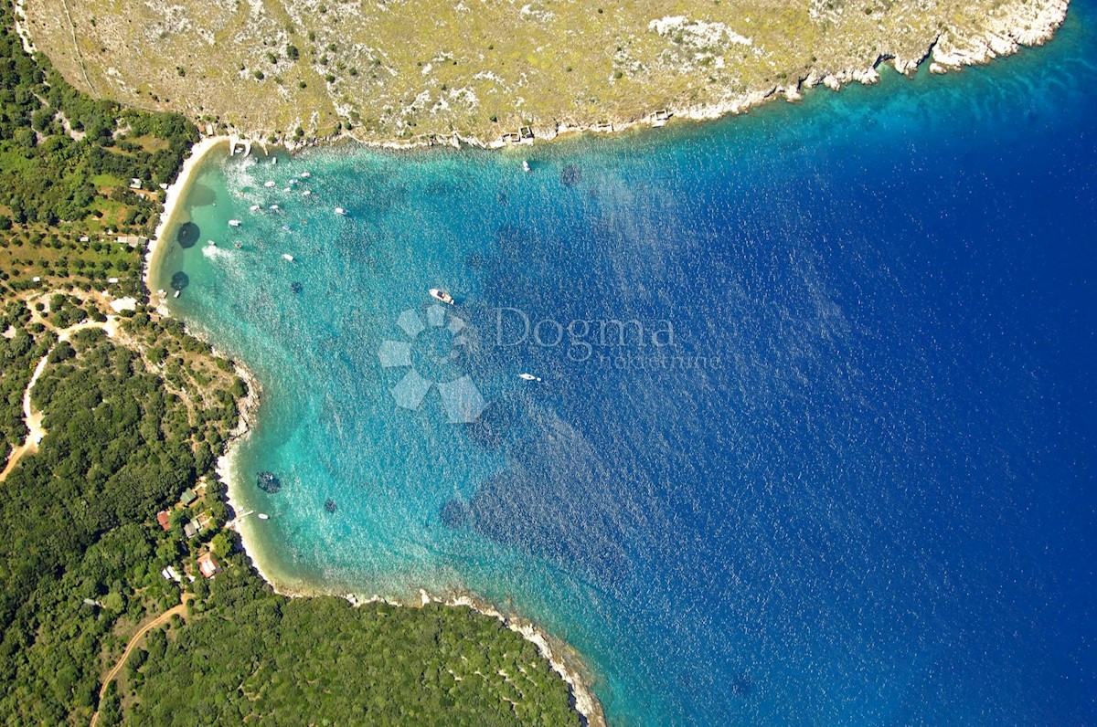 USTRINE