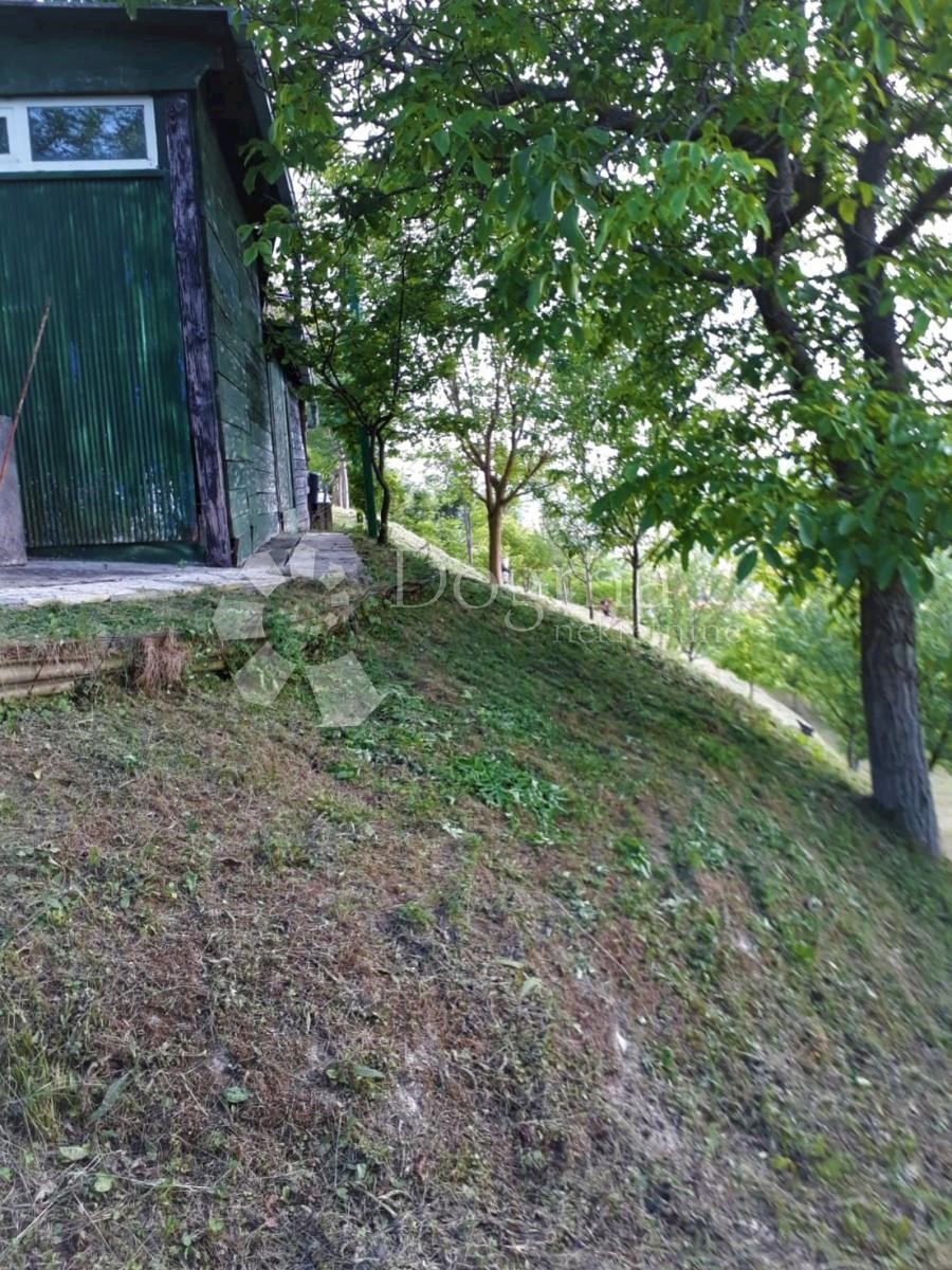 KAŠINA