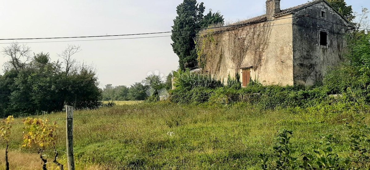 BARBAN