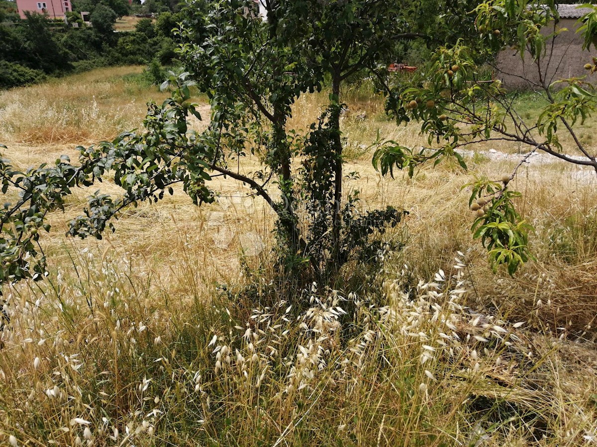 VODNJAN