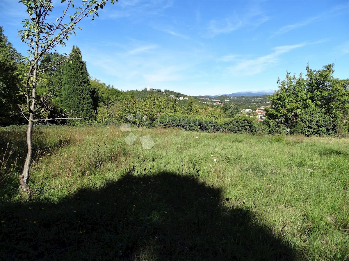MIHOTIĆI