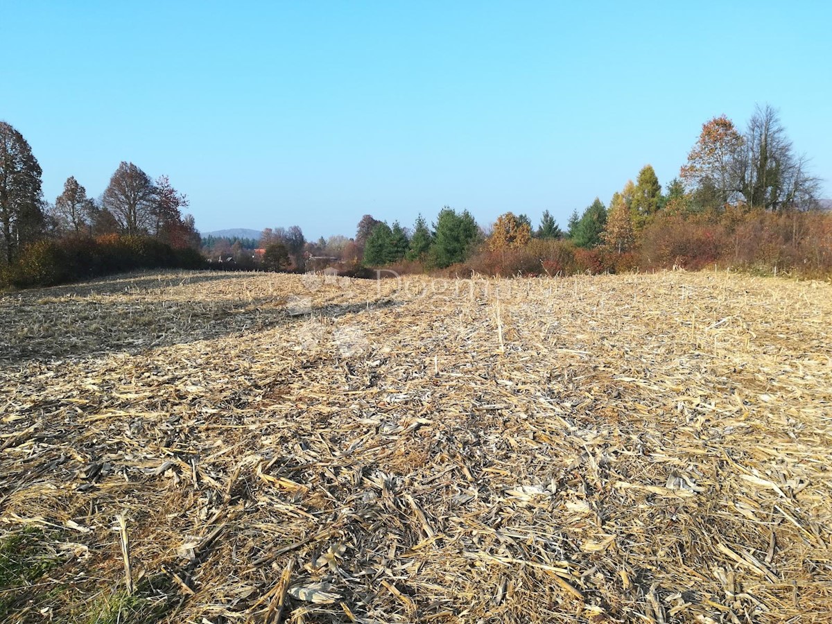 OŠTARIJE