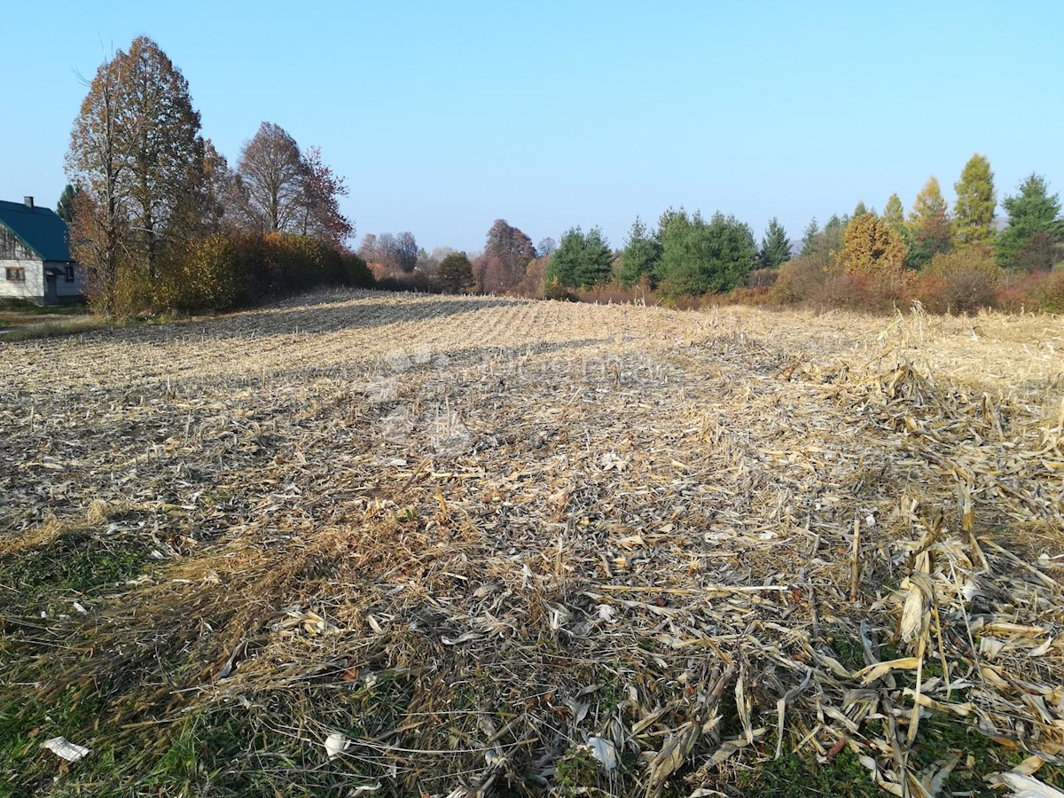 OŠTARIJE