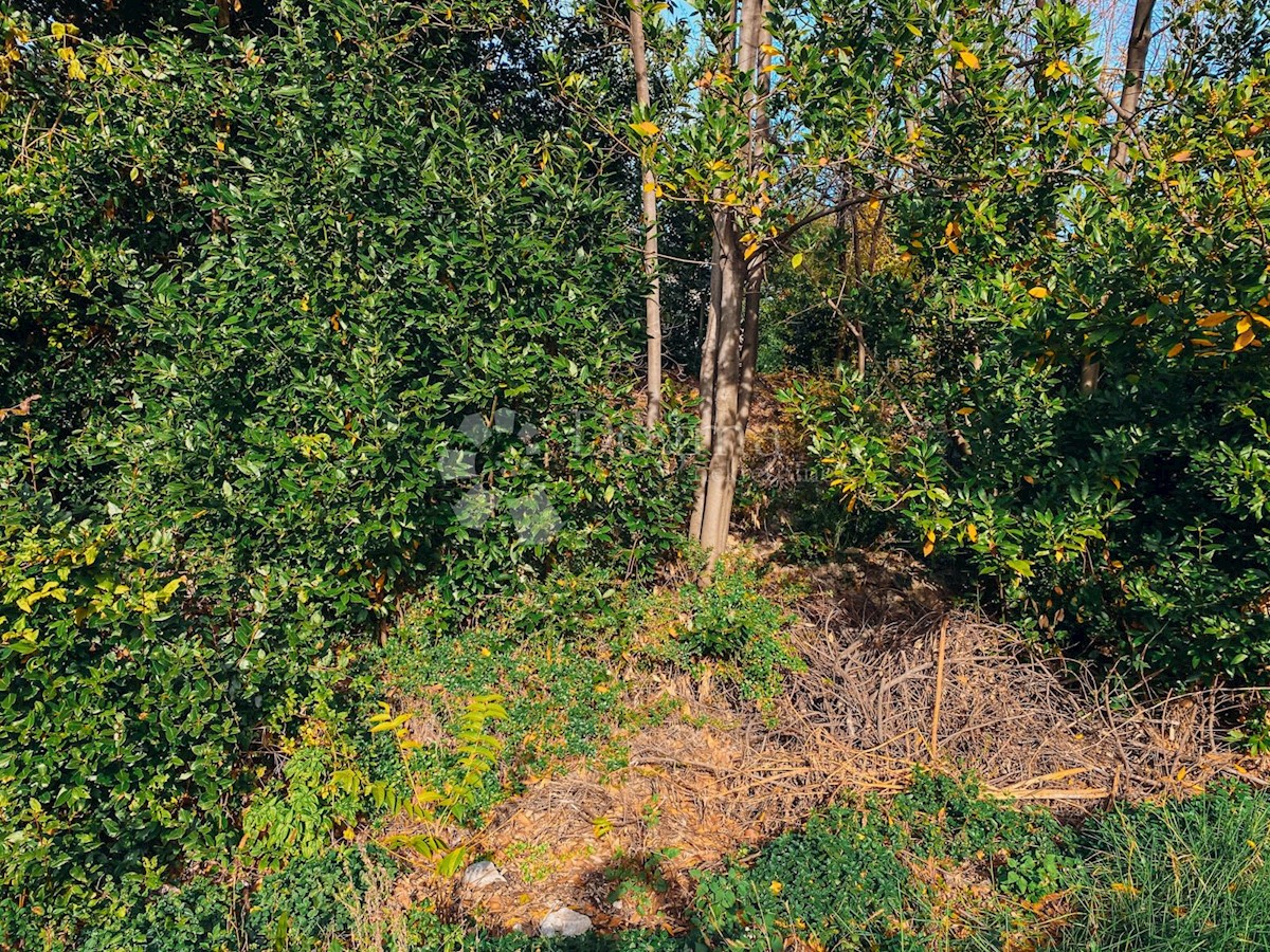 POBRI