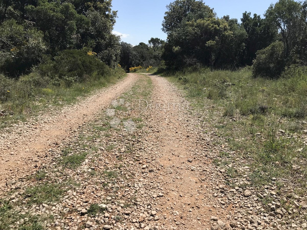 ČILIPI