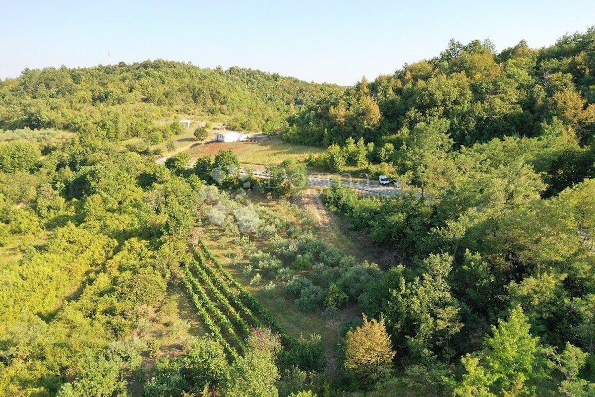 GRAČIŠĆE