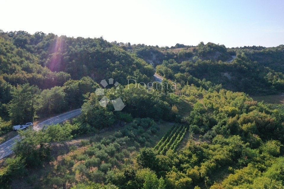 GRAČIŠĆE